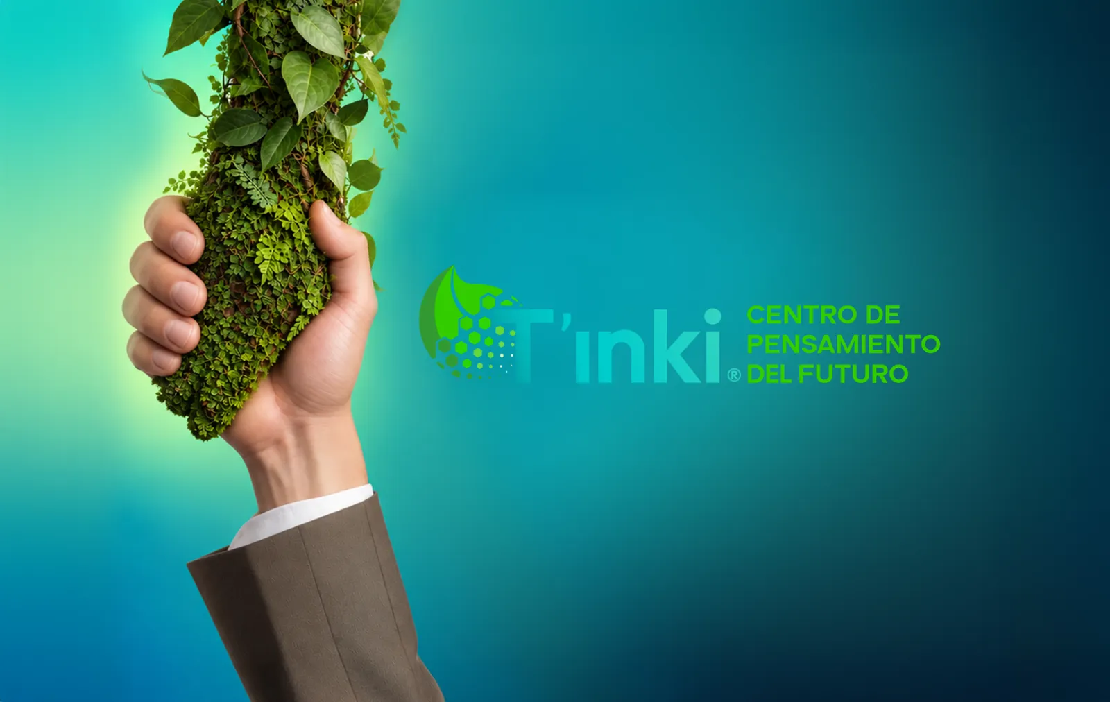 T'inki — imagen del proyecto